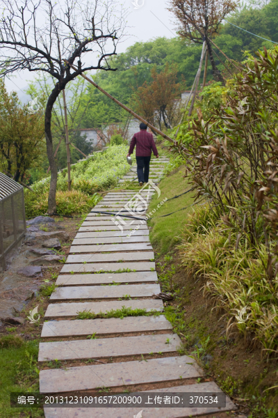 山莊別墅,道路,庭院,居住環(huán)境