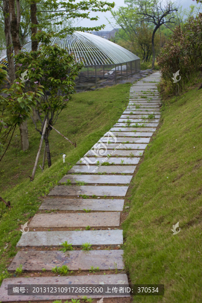 山莊別墅,道路,庭院,居住環(huán)境