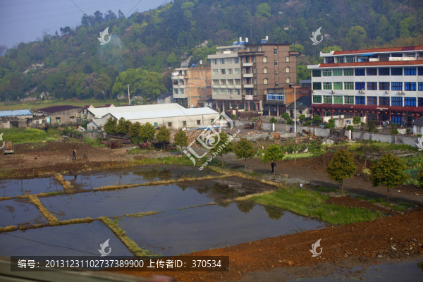 浙江,鄉(xiāng)村,村鎮(zhèn),鄉(xiāng)鎮(zhèn),農(nóng)田