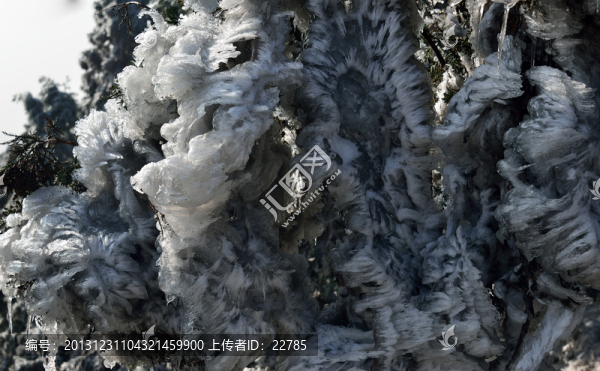 雪景