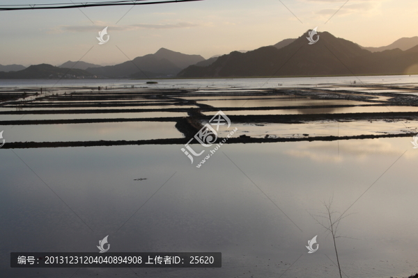生態(tài)島
