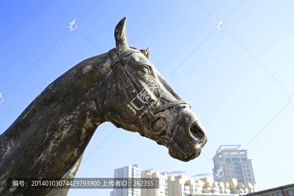 馬年樓市