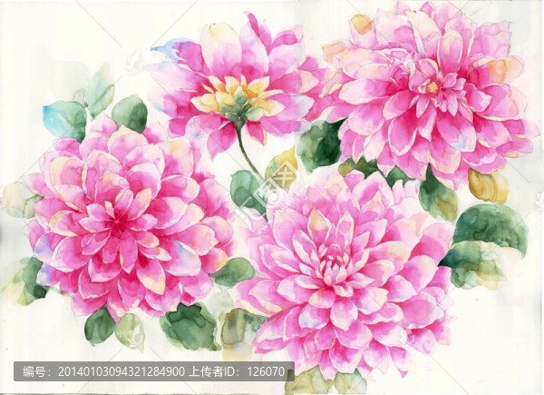 手繪花卉,合并層