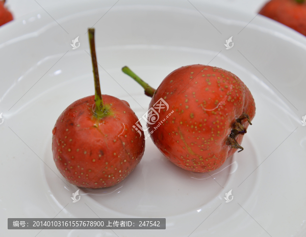 山楂,紅山楂,紅色山楂