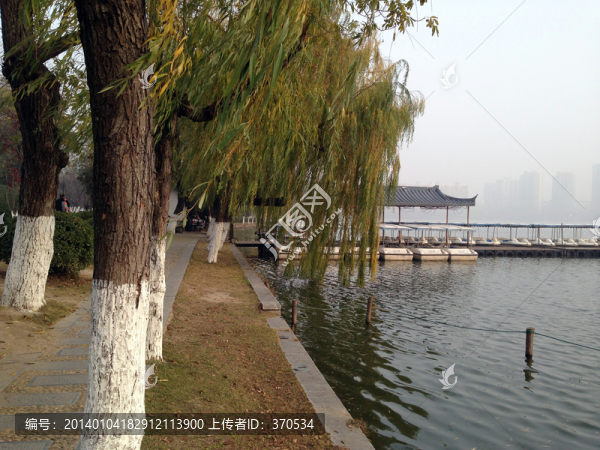 莫愁湖,湖堤,道路,樹木,湖面