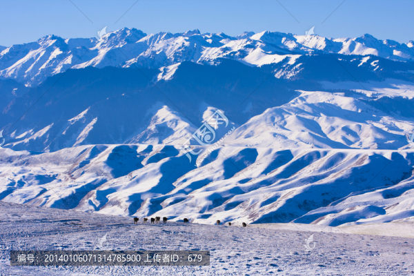 雪山,雪景