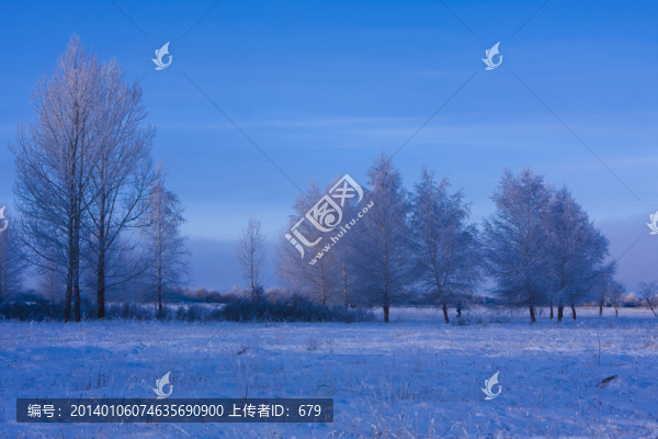 霧凇,,樹林,,冬景