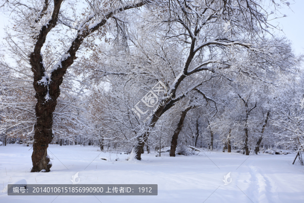 樹林