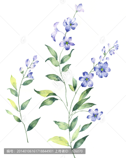 手繪花卉,合層