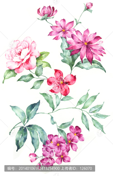 手繪花卉,合層