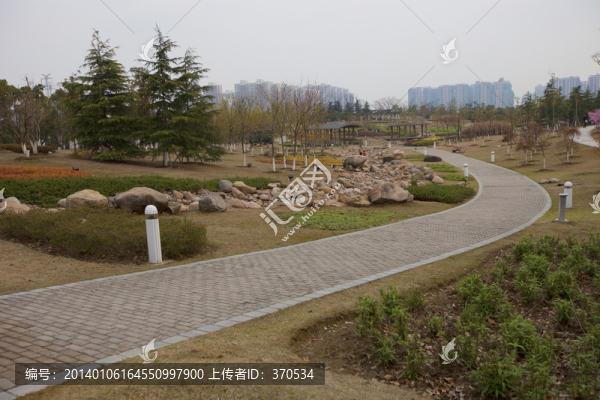 道路,小路,樹木,白塘生態(tài)園