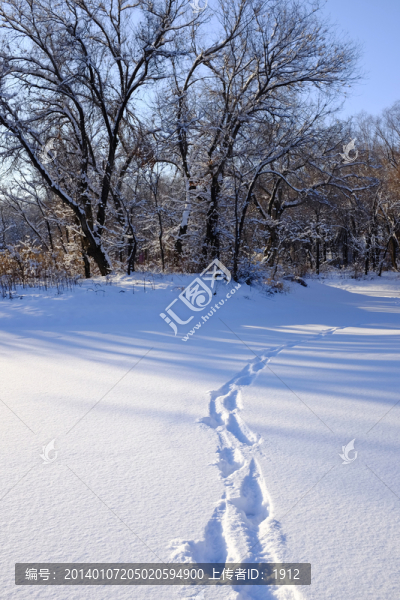 雪地