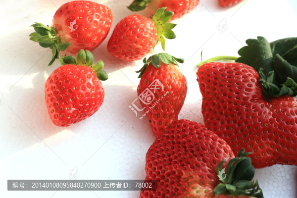 草莓