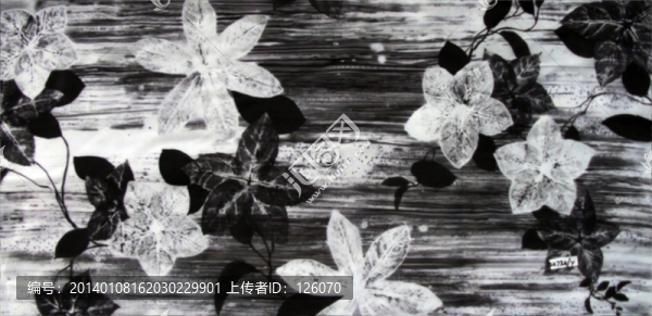數(shù)碼花型
