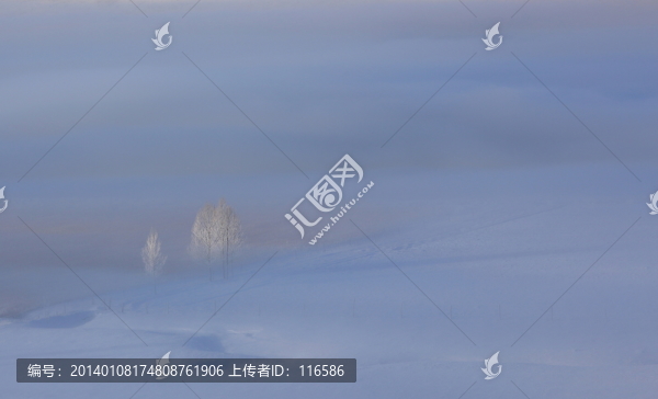 夢幻田野