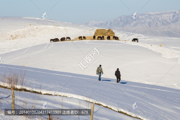 冬牧場,,,雪山