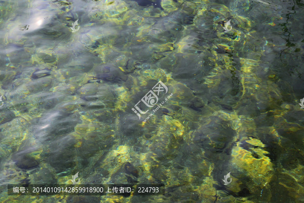 金色的水紋