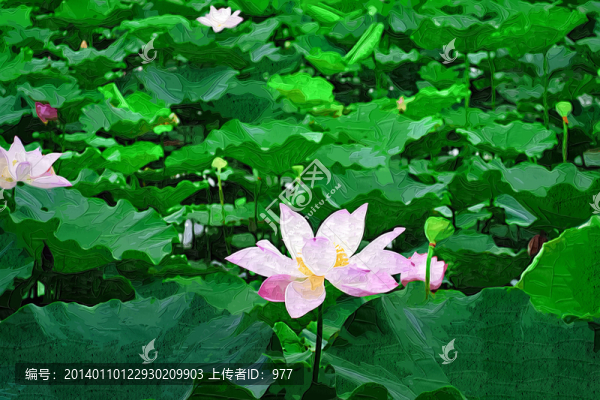 抽象畫(huà),油畫(huà),裝飾畫(huà),荷花