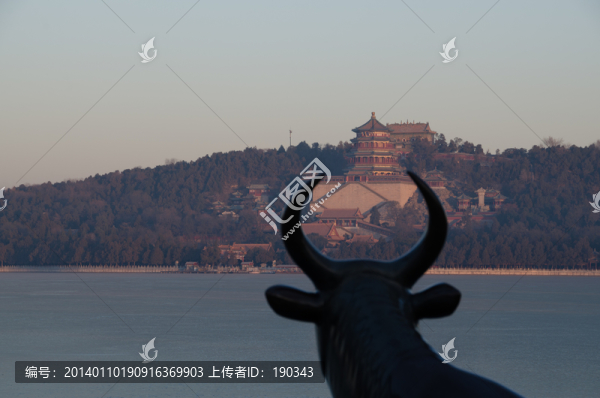 頤和園銅牛jpg