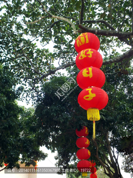 一串紅燈籠