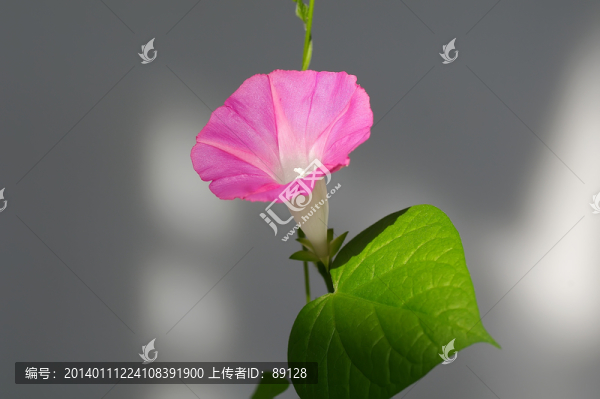 牽?；? title=