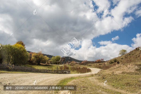 云南香格里拉田野
