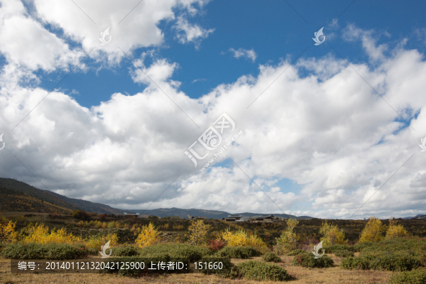云南香格里拉鄉(xiāng)村田野