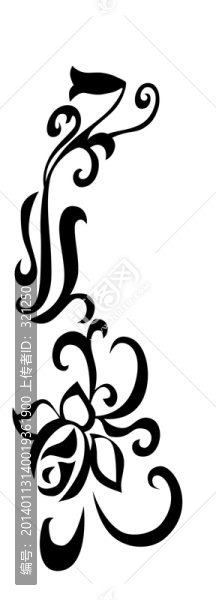 黑白花邊