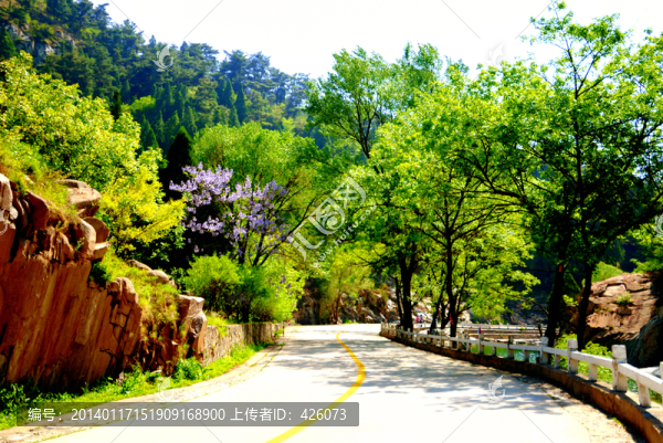 山間大路