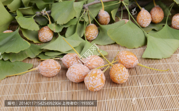 白果
