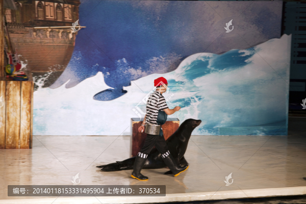 上海,長(zhǎng)風(fēng)公園,海底世界,海豹
