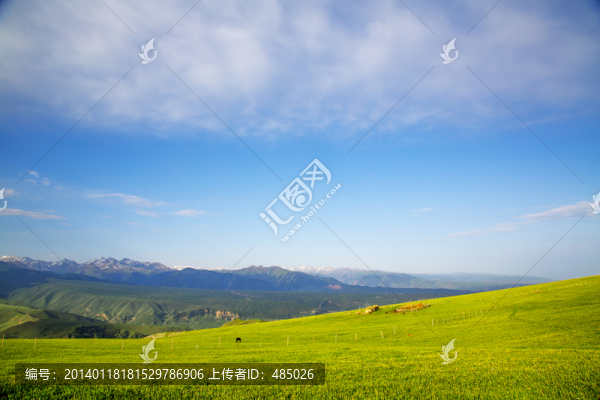 新疆草原風(fēng)光（高清圖）