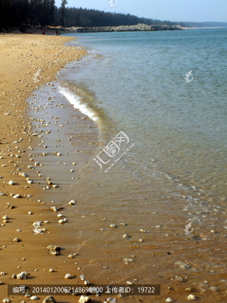 海岸