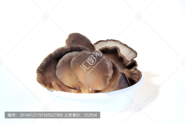 平菇