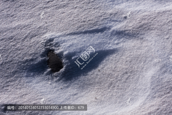 雪地