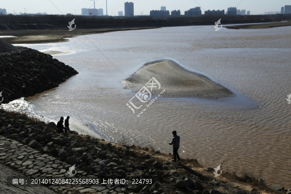黃河河心濕地