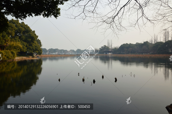 曲院風(fēng)荷