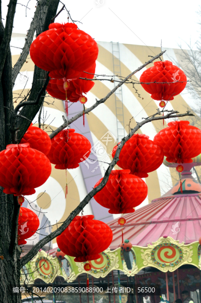 紅燈籠