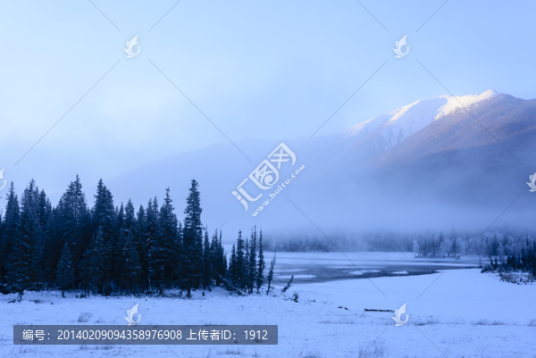 雪山,森林