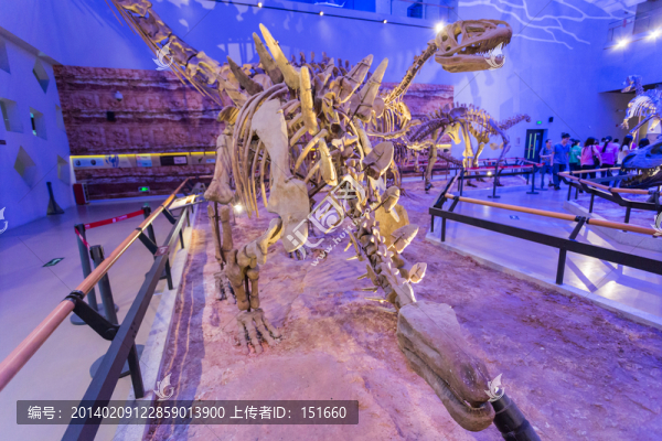 廣東省博物館恐龍化石