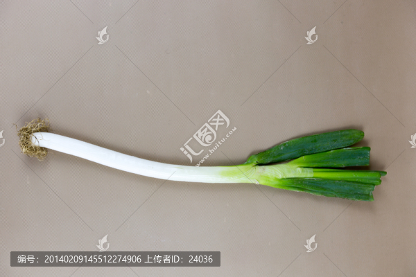 蔬菜,一根大蔥