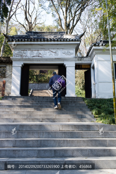 西佘山公園