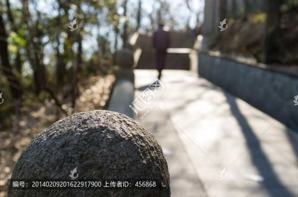 佘山,山路