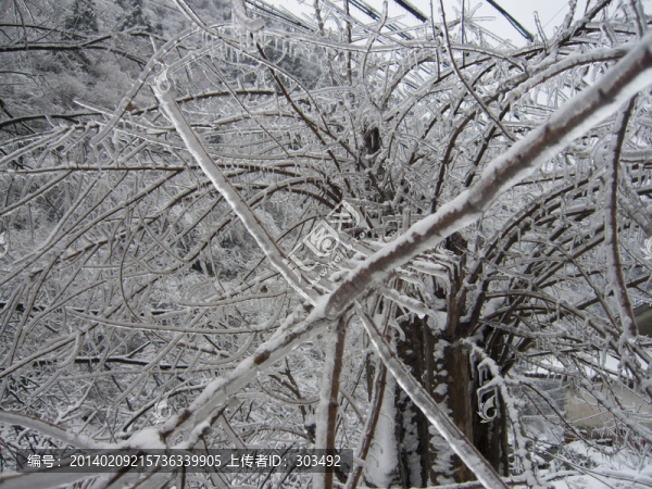 山上的雪
