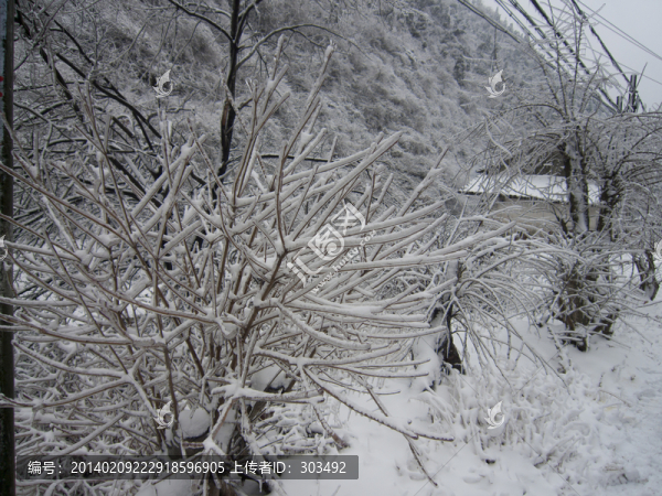 山上的雪