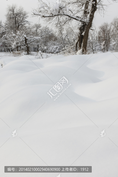 樹林