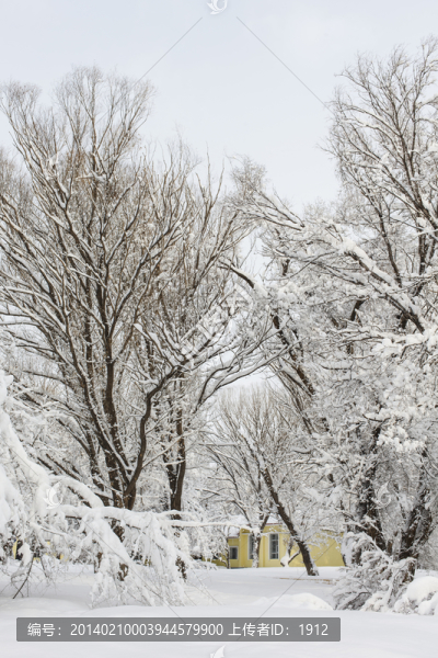 樹(shù)林-匯圖網(wǎng) www.fosd68.com 樹(shù)林