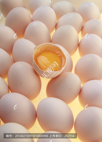 雞蛋