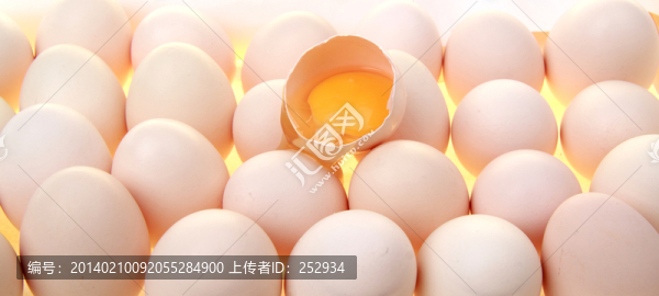 雞蛋