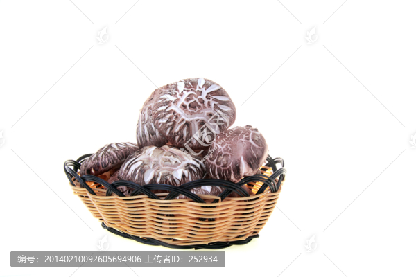 食用菌
